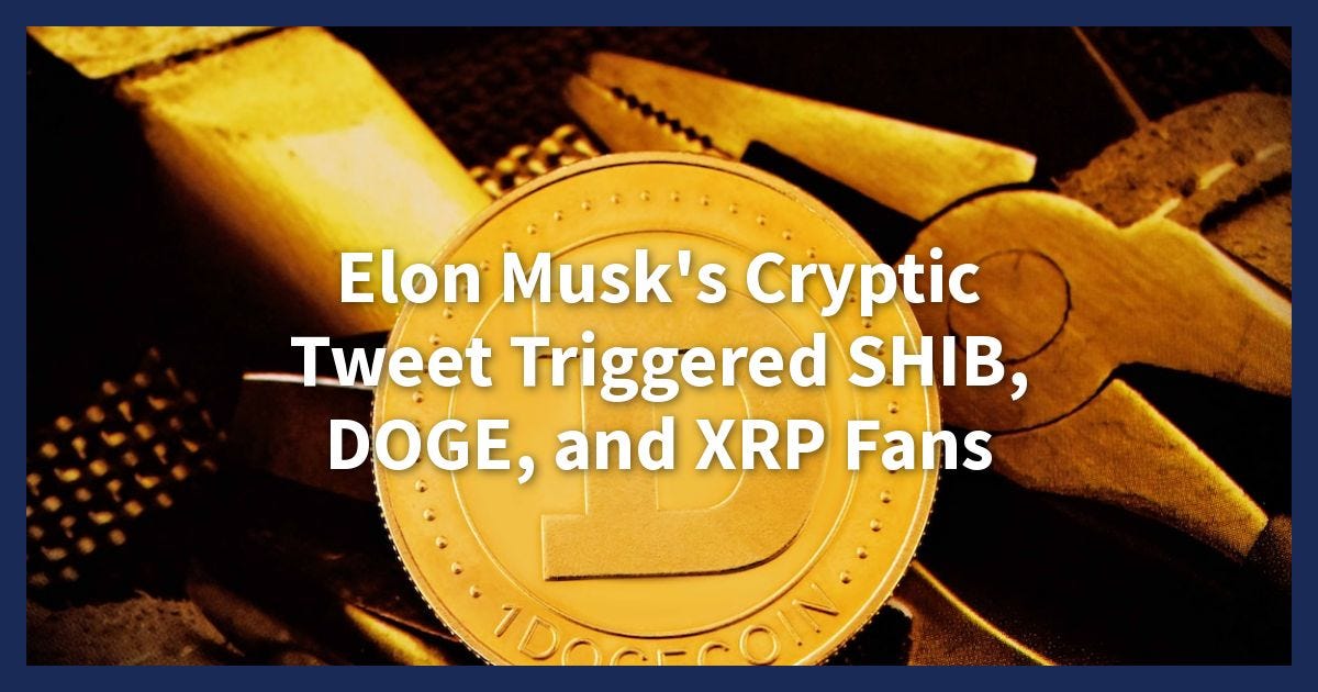 Exploring The Impact Of Elon Musk’s Cryptic Tweet On SHIB, DOGE, And ...