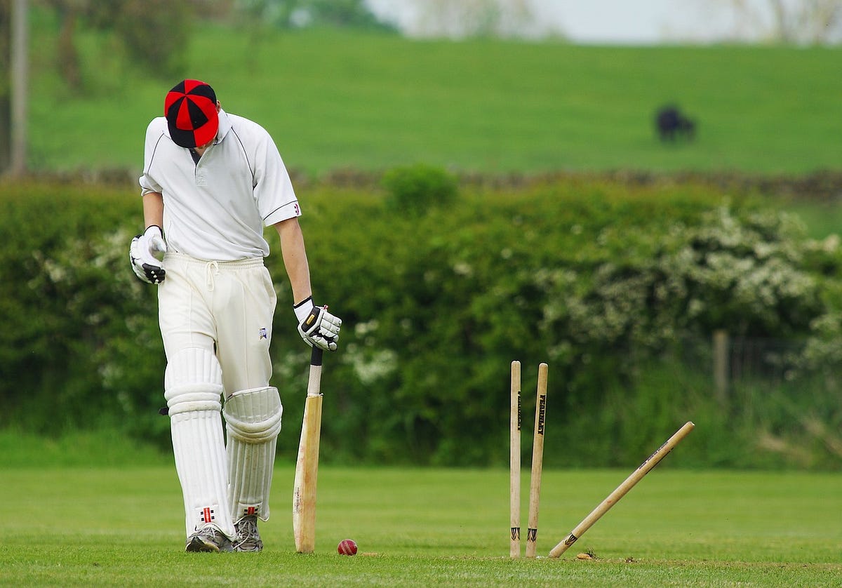 Live Cricket Update AUS vs SA Final Live Report Australia vs