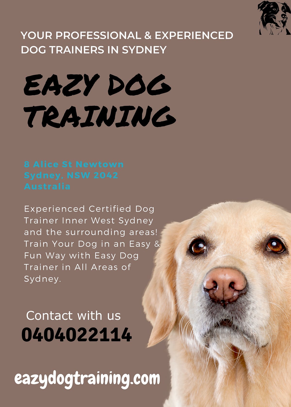 Best Dog Trainer Sydney Eazy Dog Training Medium