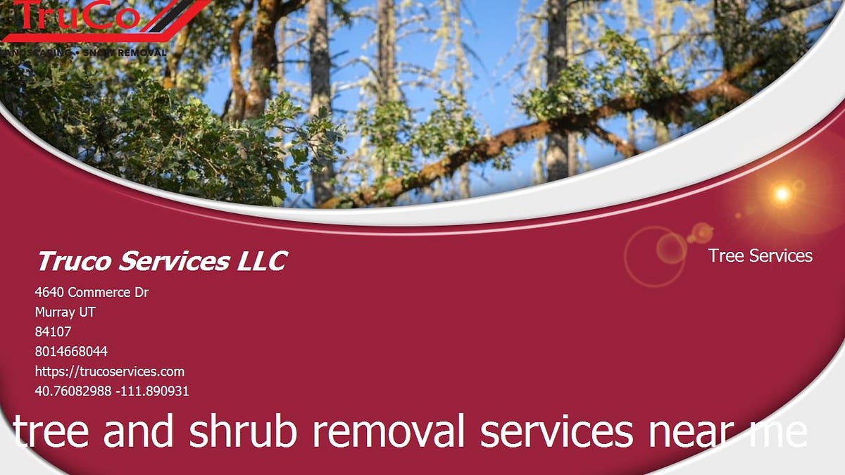 Removing Shrubs From Your Garden. How to Remove Shrubs From Your Garden