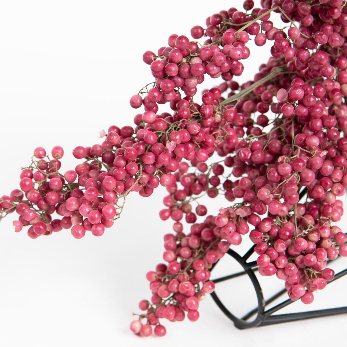 Mystic Spring: The Anti-Spring Aesthetic | by Fora Nature | Medium