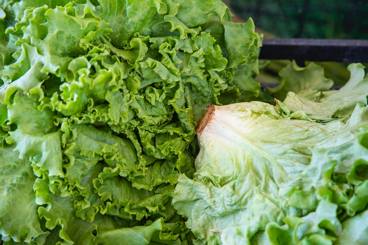 10 Shocking Vegetables That Are Surprisingly Unhealthy By Yancy 10-shocking-vegetables-that-are-surprisingly-unhealthy-by-yancy