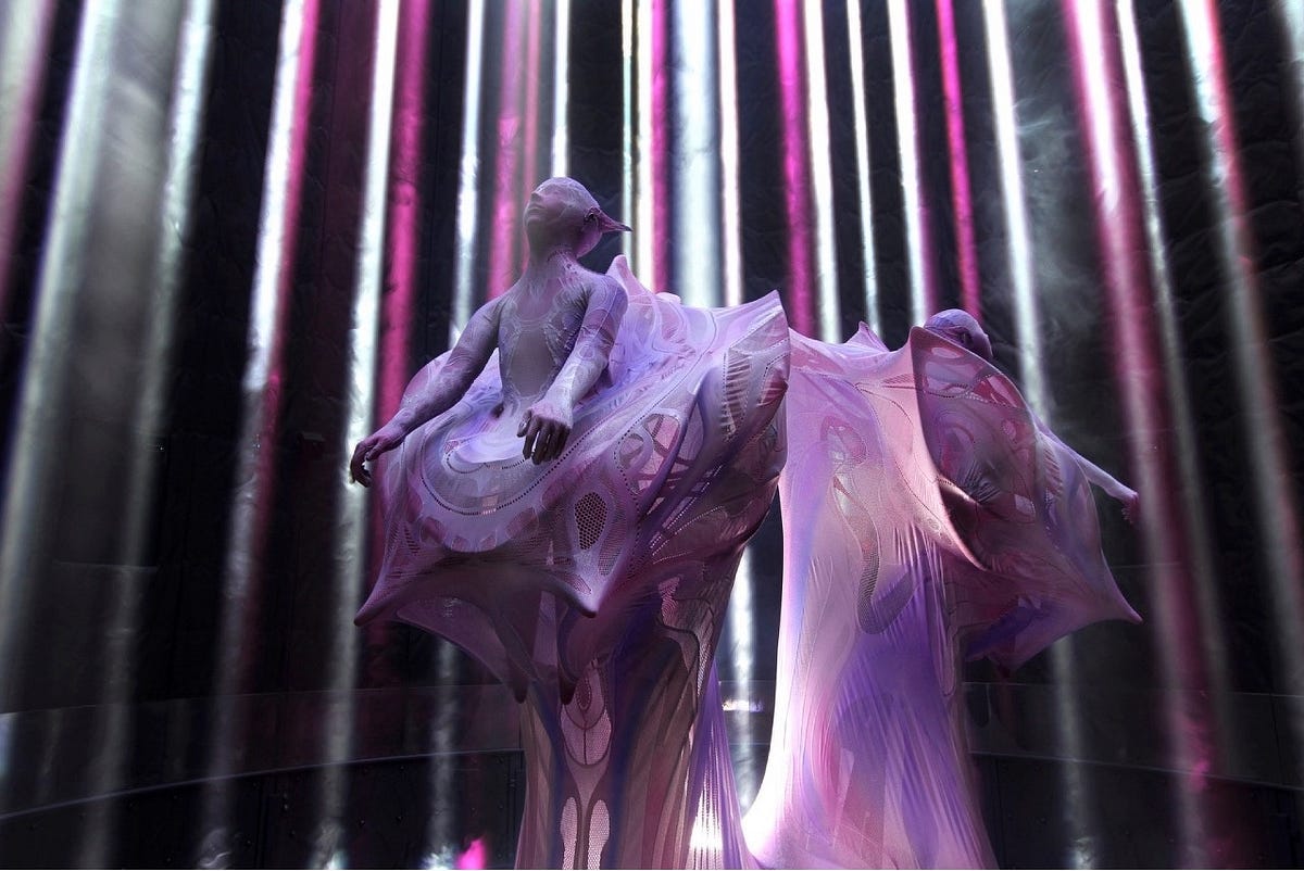 HAYASHI製/NOSAWA論外.Used costume Tamae Hirokawa's Two “Designs of the Skin” at the Osaka