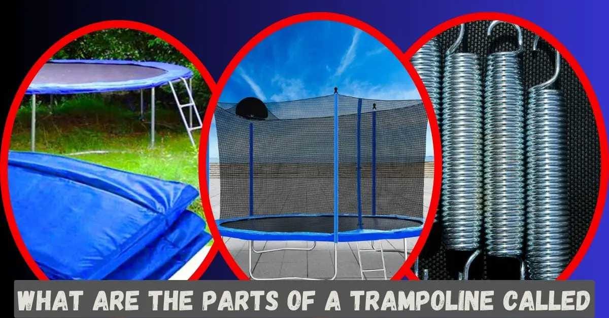 What are the Parts of a Trampoline Called? Trampoline Mind Medium