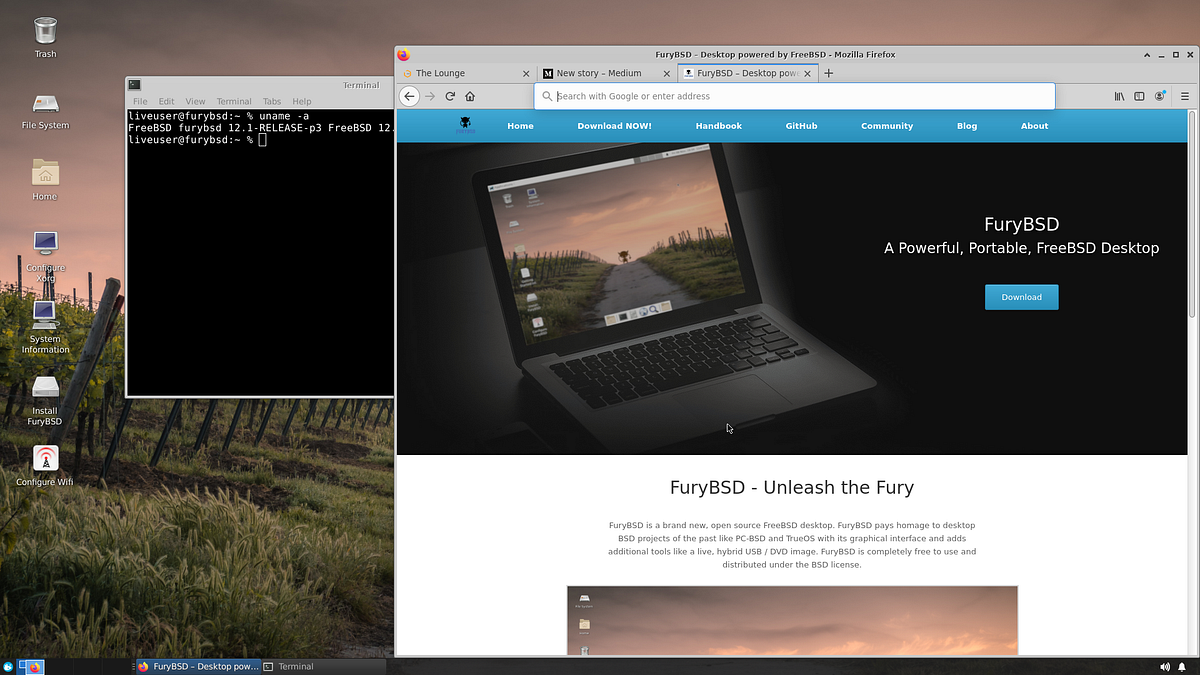FuryBSD: The “Ubuntu of BSD” has arrived, finally. Try it today! | by  probono | Medium