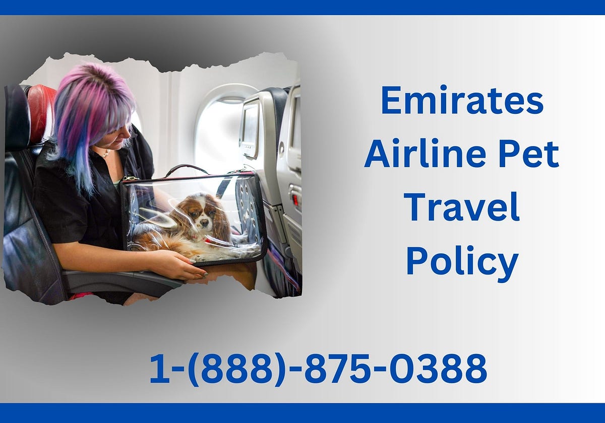 Emirates Airline Pet Travel Policy by Rayanwarn Aug, 2023 Medium