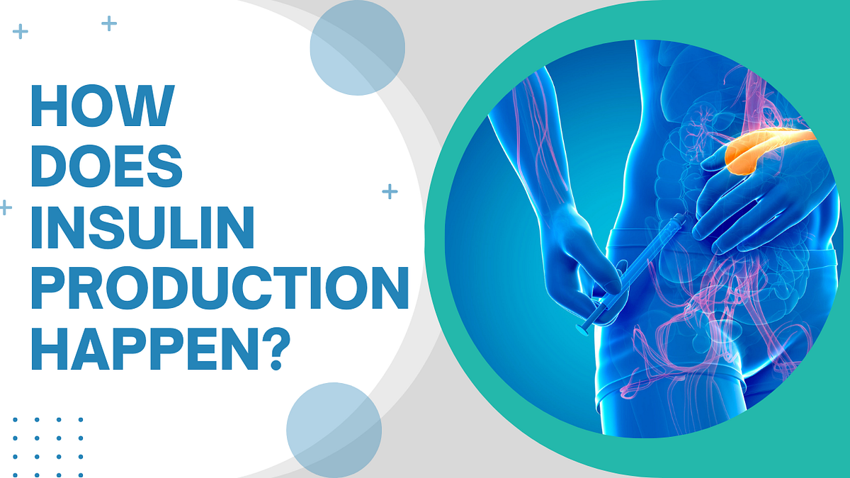 Where does insulin production occur in the body? by Dr James Smith