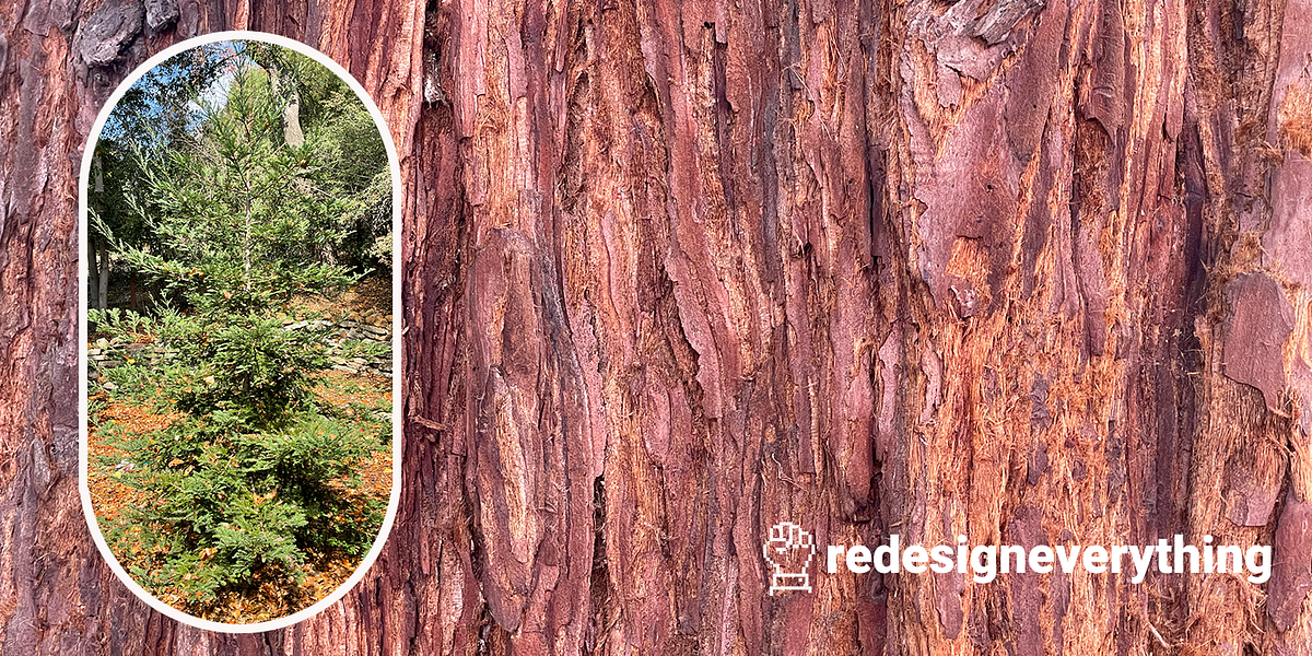 Hoping for the long-term