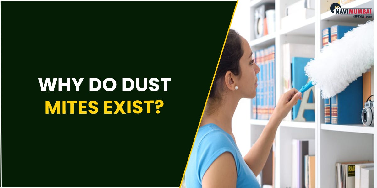 Why Do Dust Mites Exist? How to Recognise These Tiny Home Invaders by