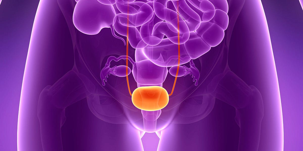 Breathtaking Can Mesothelioma Cause Bladder Cancer Picture Concept Breathtaking Can Mesothelioma Cause Bladder Cancer Picture Concept