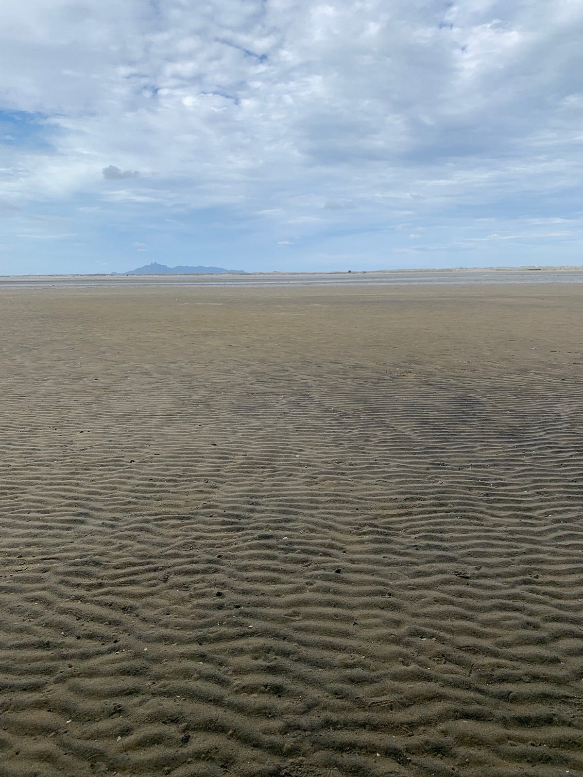 Empty Oasis there used to be water here cool, velvet, smooth now only