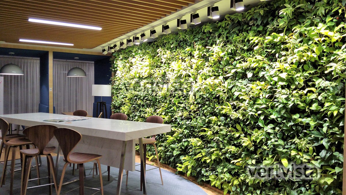 Indoor Green Walls — An Ode To Transformation by Vertvista Eco