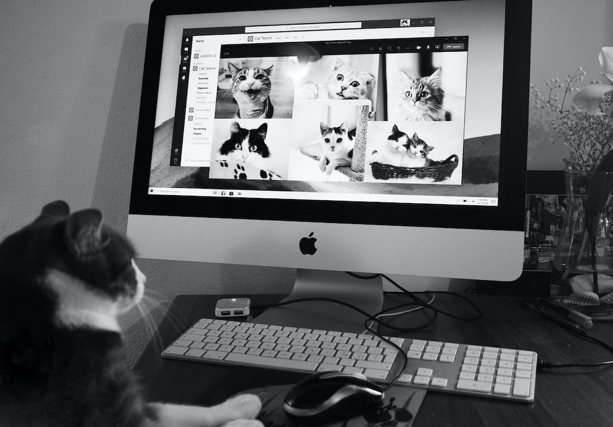 Rethinking “Double Dipping” in the New World of Remote Work | by The Layman Speaks | Dec, 2023