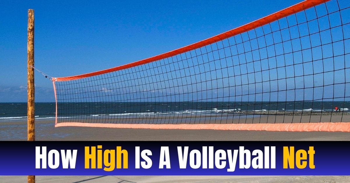 How High Is A Volleyball Net Volleyrob Medium how-high-is-a-volleyball-net-volleyrob-medium
