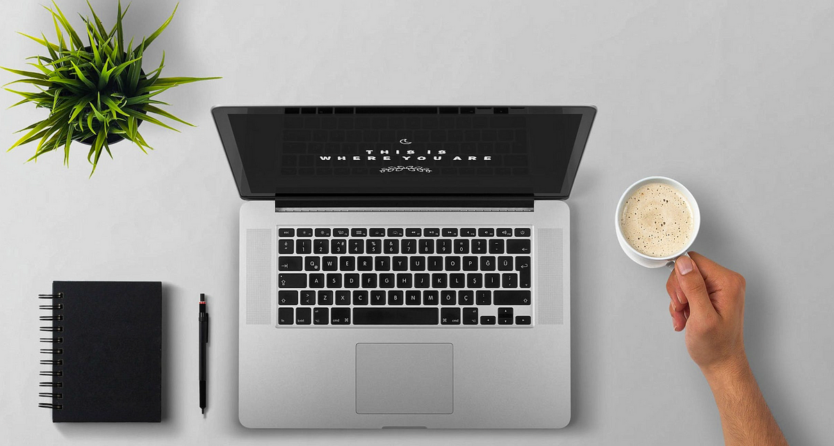 Python Lists: An Essential Guide with Code Examples | by Python ... image.