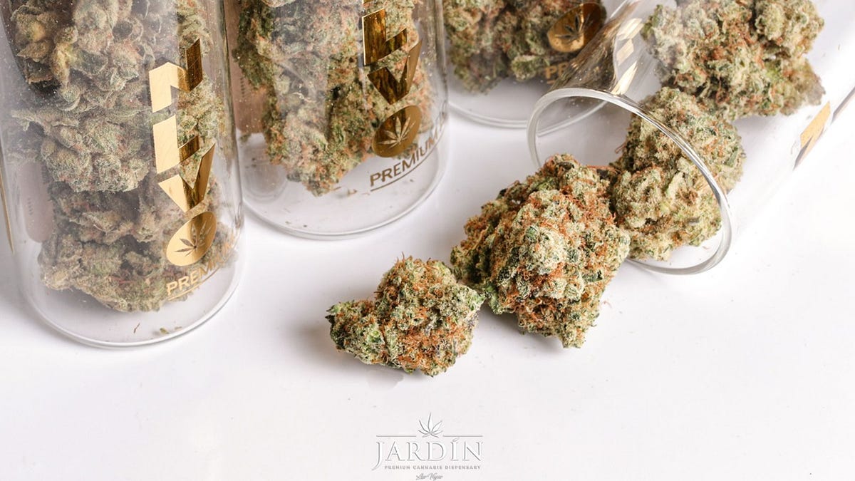 Explore Elite CBD Flower in Las Vegas Jardin Cannabis Dispensary Jardin Las Vegas Medium