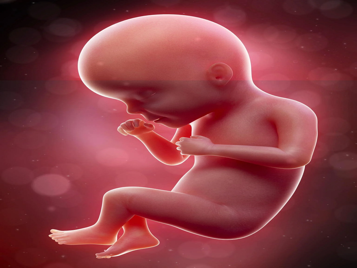Understanding Pregnancy How Many Weeks Are There Lazfan Medium understanding-pregnancy-how-many-weeks-are-there-lazfan-medium