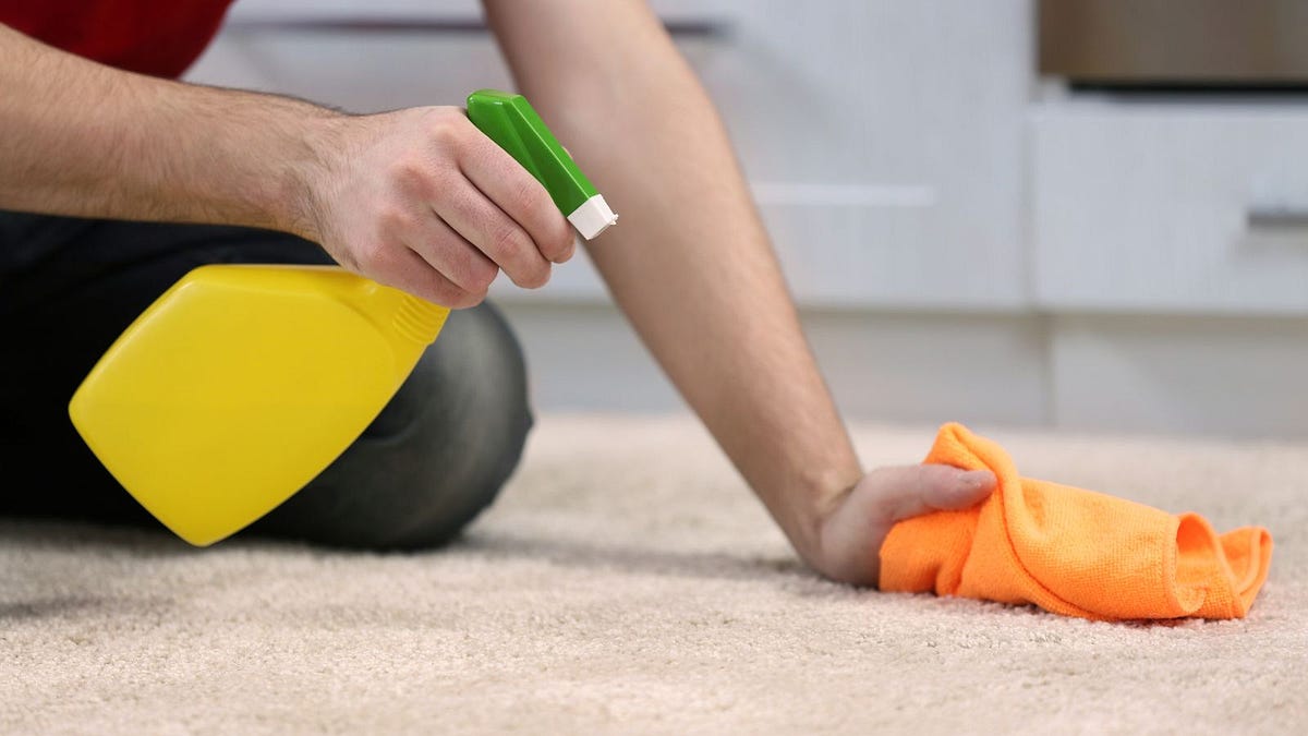 5 Best Carpet Cleaning Techniques for a Spotless Home by United