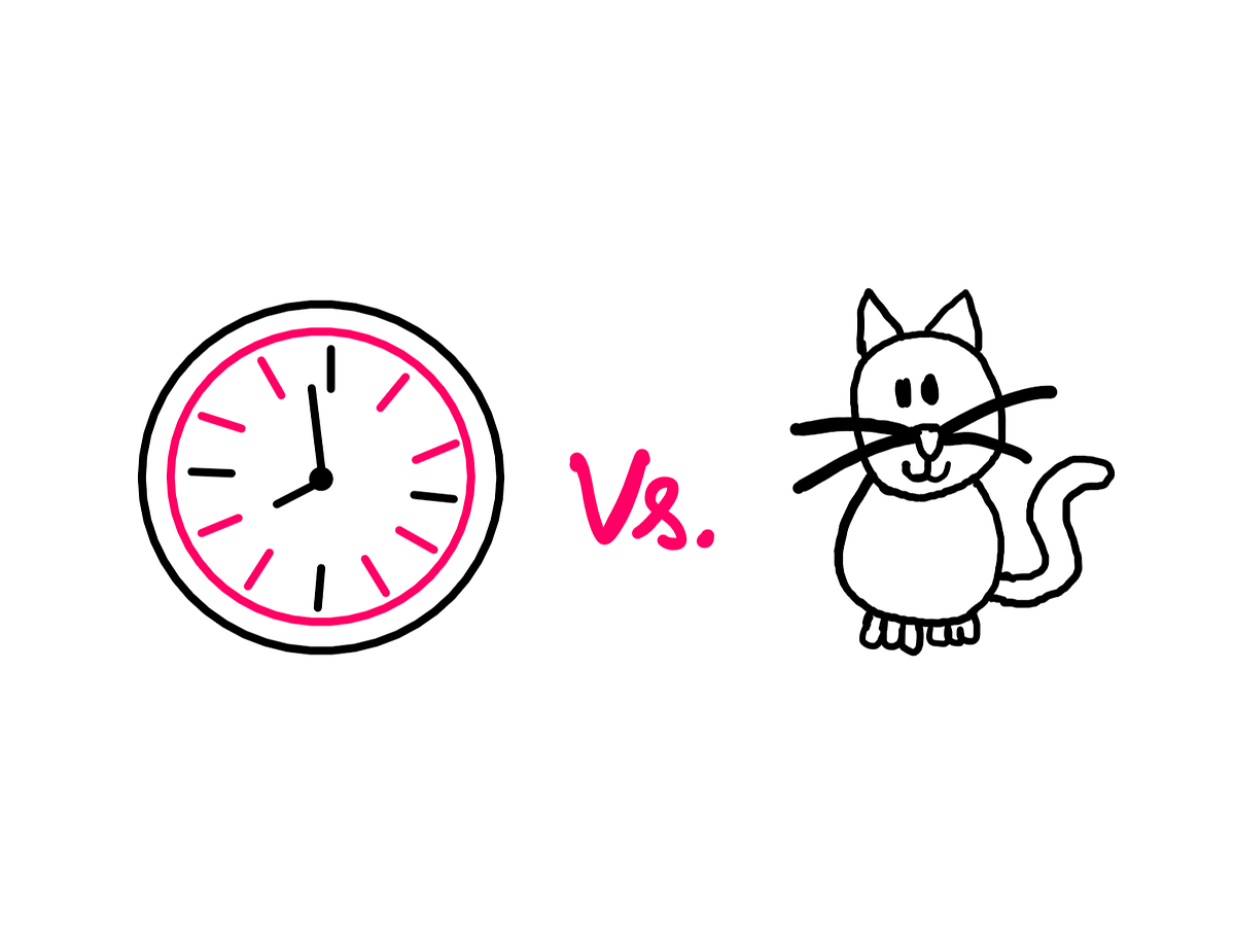 What Makes Clocks And Cats Different? by Hemanth Street Science