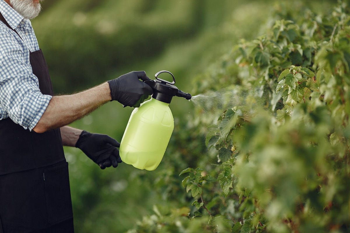Ultimate Pest Solutions — Toronto: Your Solution for Pest Control ...