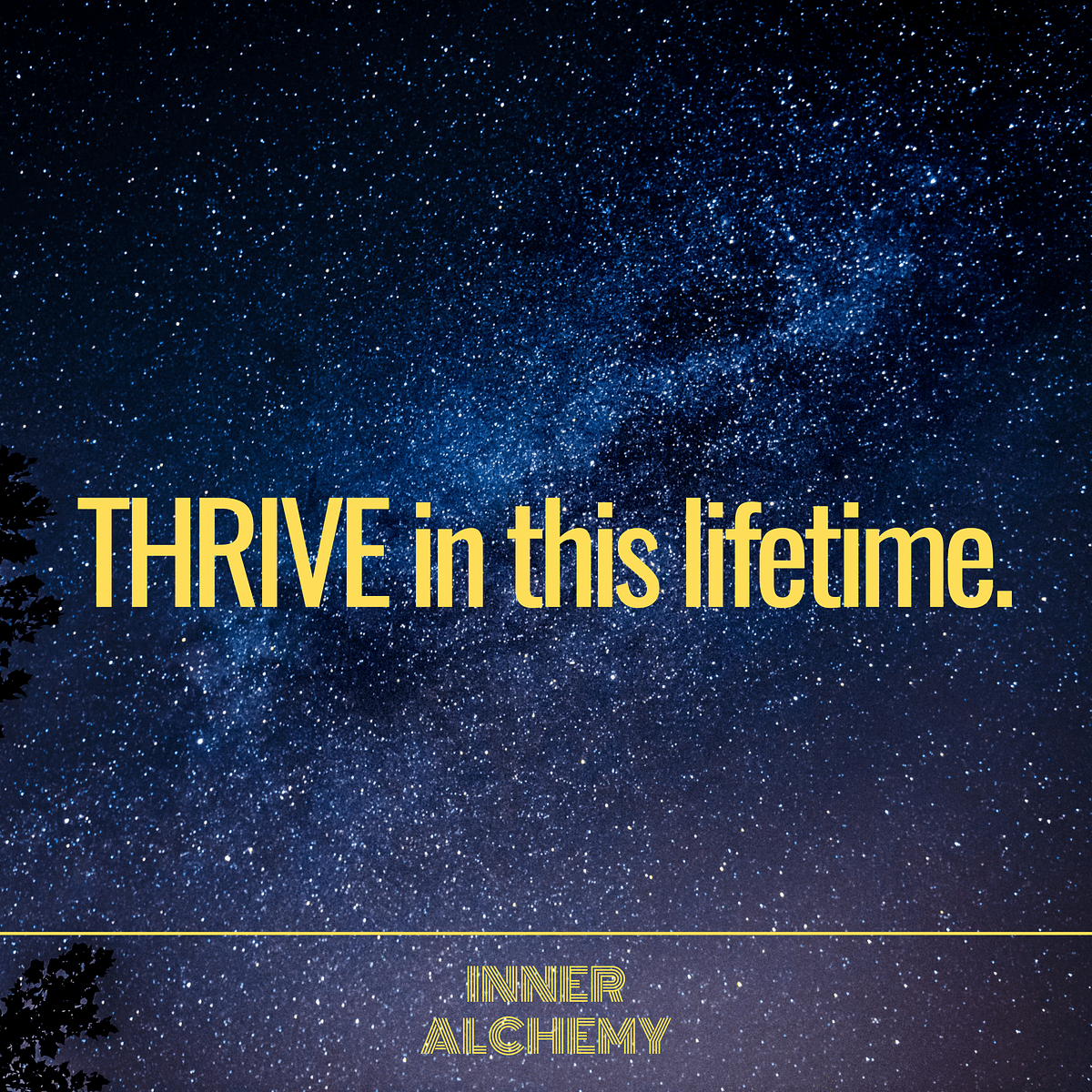 thrive-in-this-lifetime-will-you-by-inner-alchemy-medium