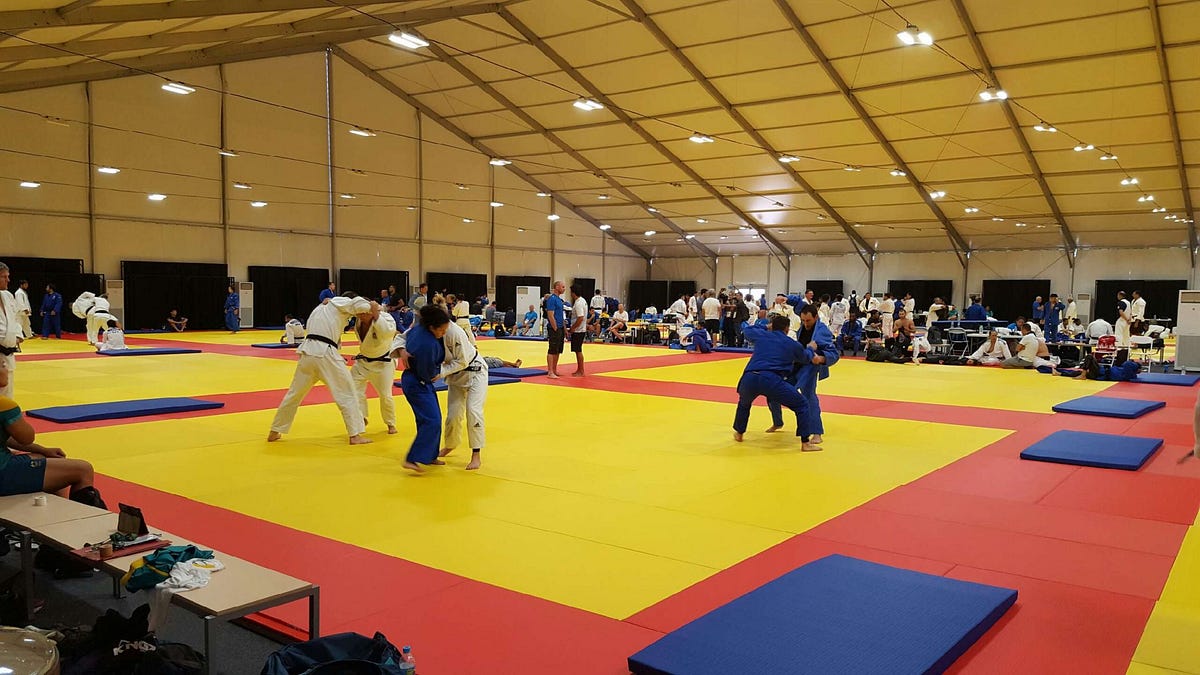 GravoliteJudomats What are the basic techniques that are followed in