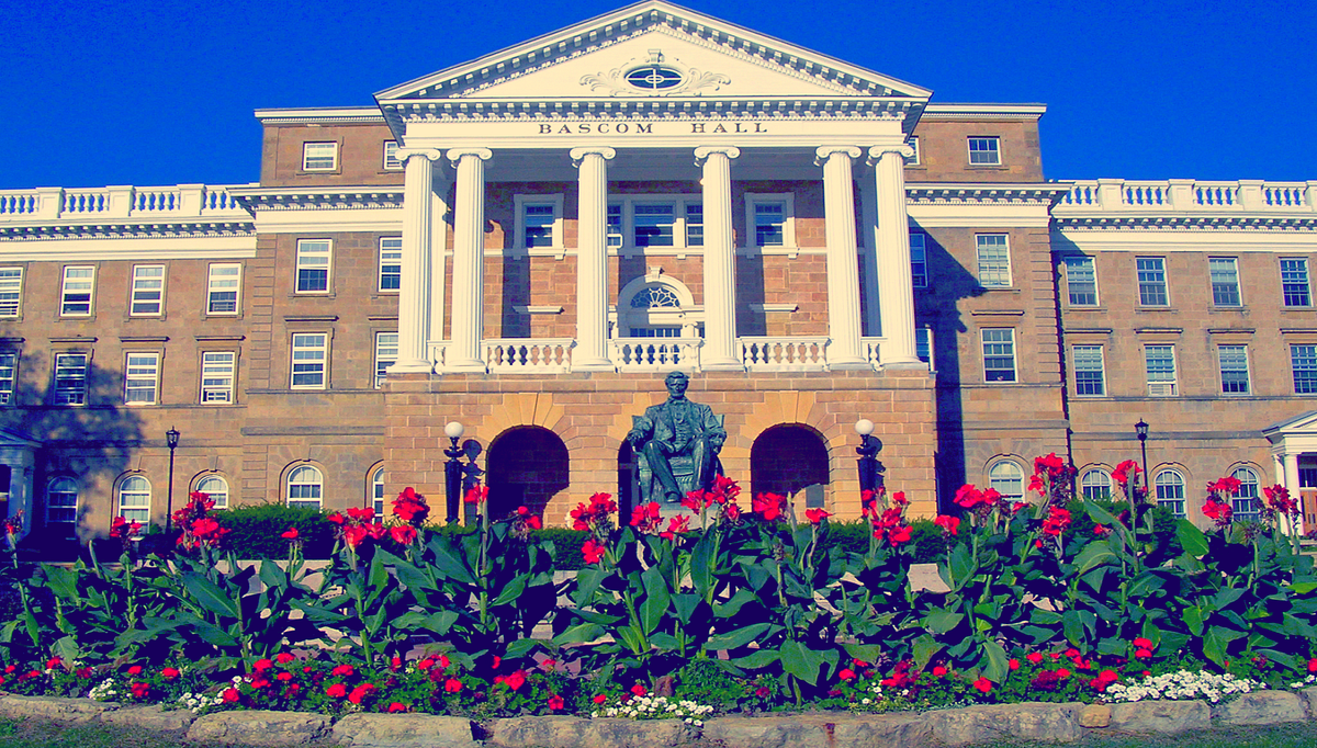 Killing Baby Rabbits. The emotional tectonics of public… by Rachel