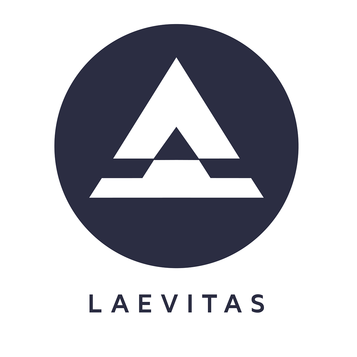 Laevitas Beta Launch. Beta is live on laevitas.ch | by Hassen Naas |  Laevitas | Medium