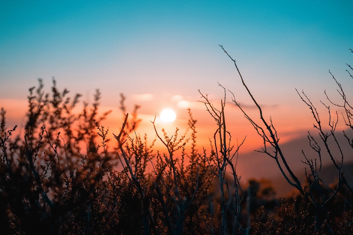 5 Quotes That Touched My Heart and Challenged My Assumptions
