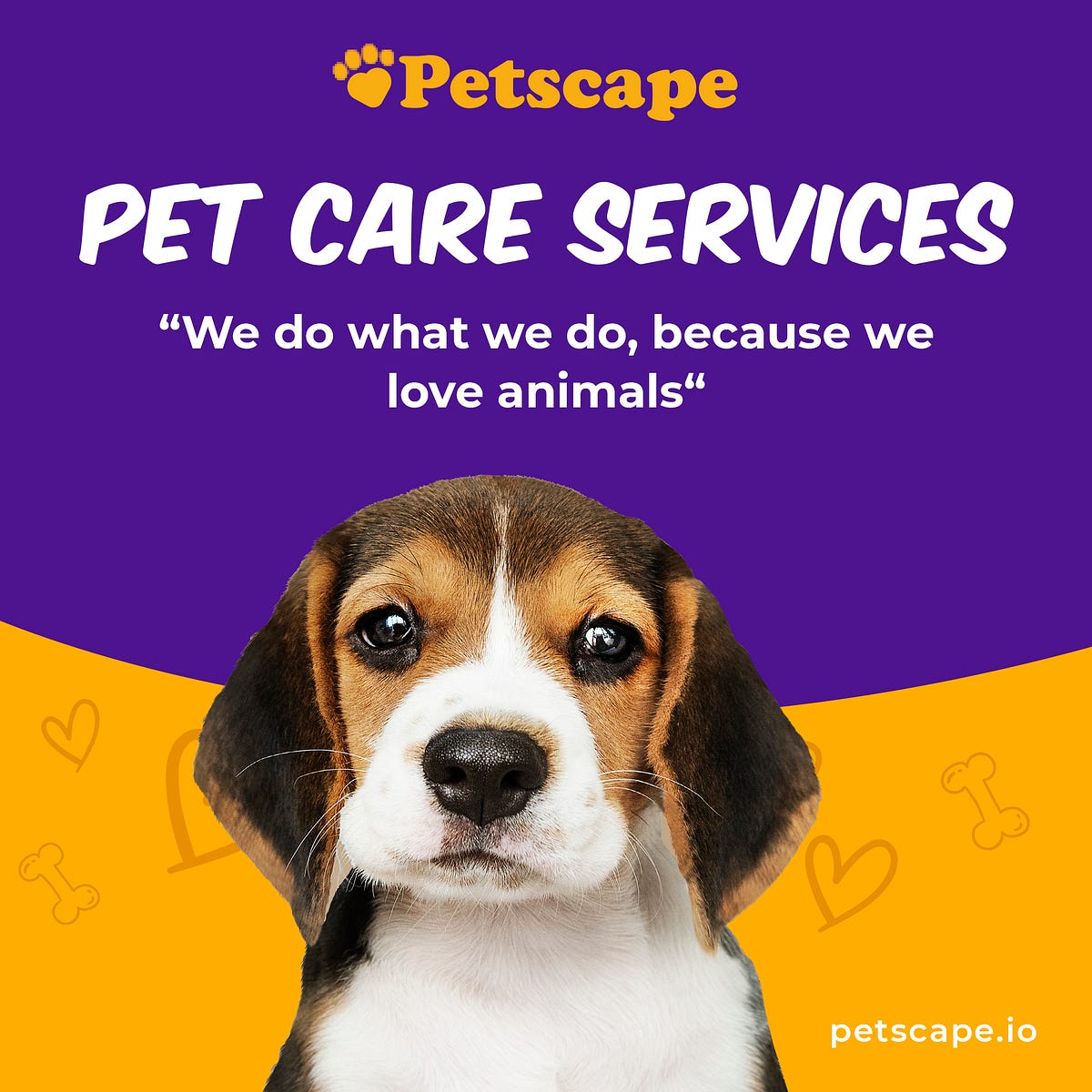 🐾 Best Pet Care Services 🐾 Petscape Medium