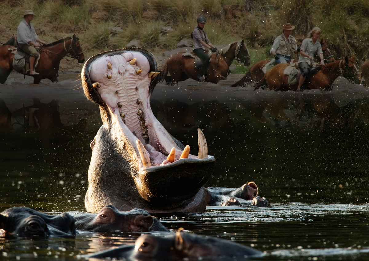 Tokenisation Of Luxury Real Estate Renders The World’s Most Illiquid