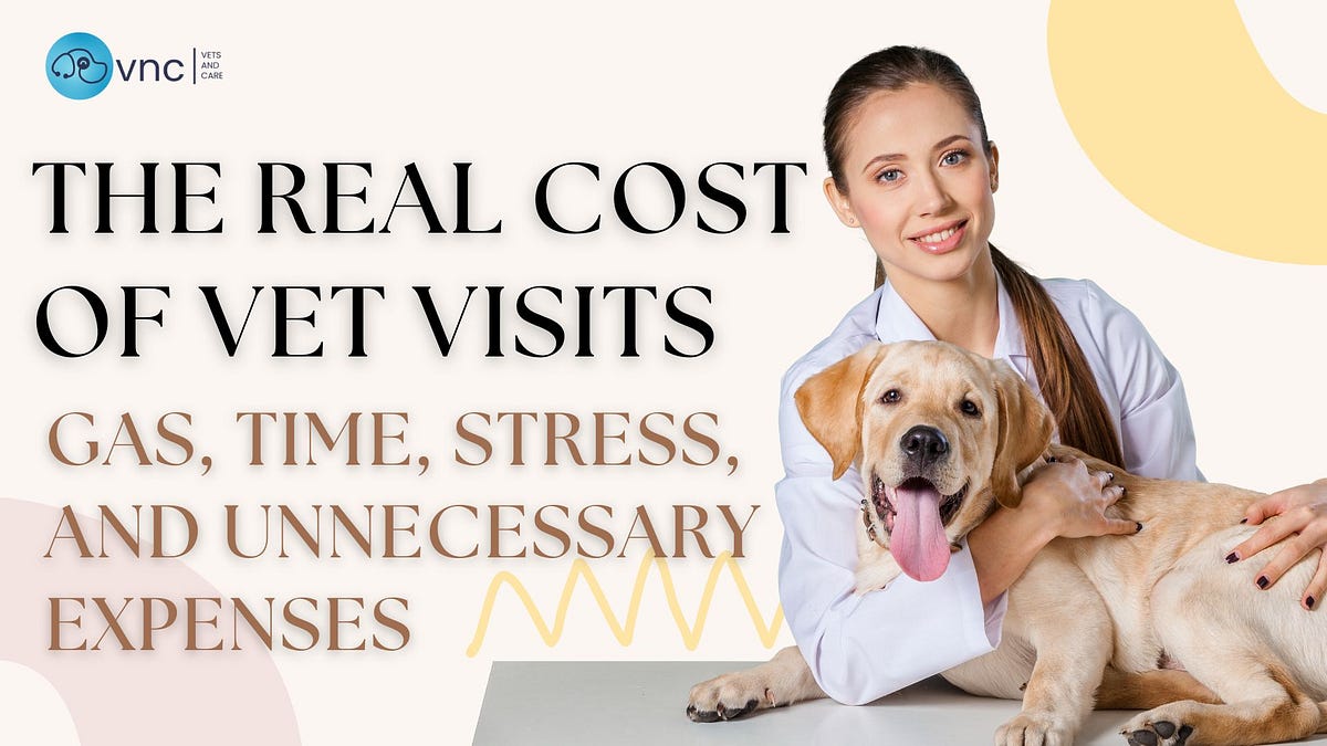 How Much Does a Vet Visit Cost for a Dog: Essential Price Guide