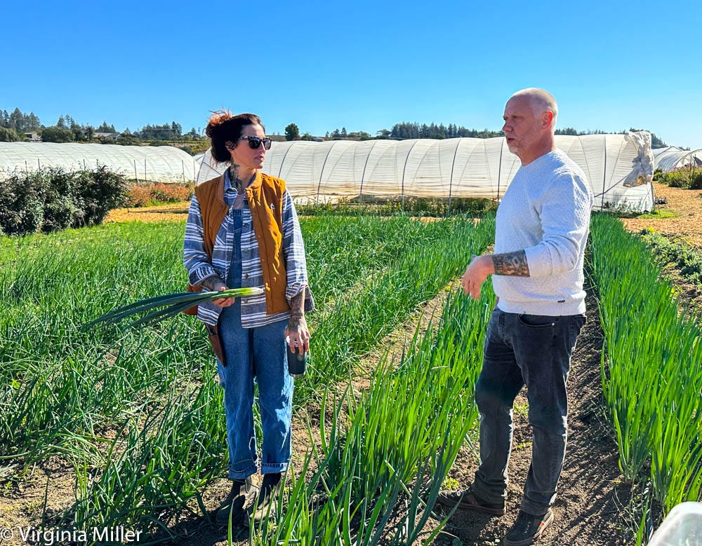 Image of: Healdsburg Adventures with SingleThread, Little Saint and Montage