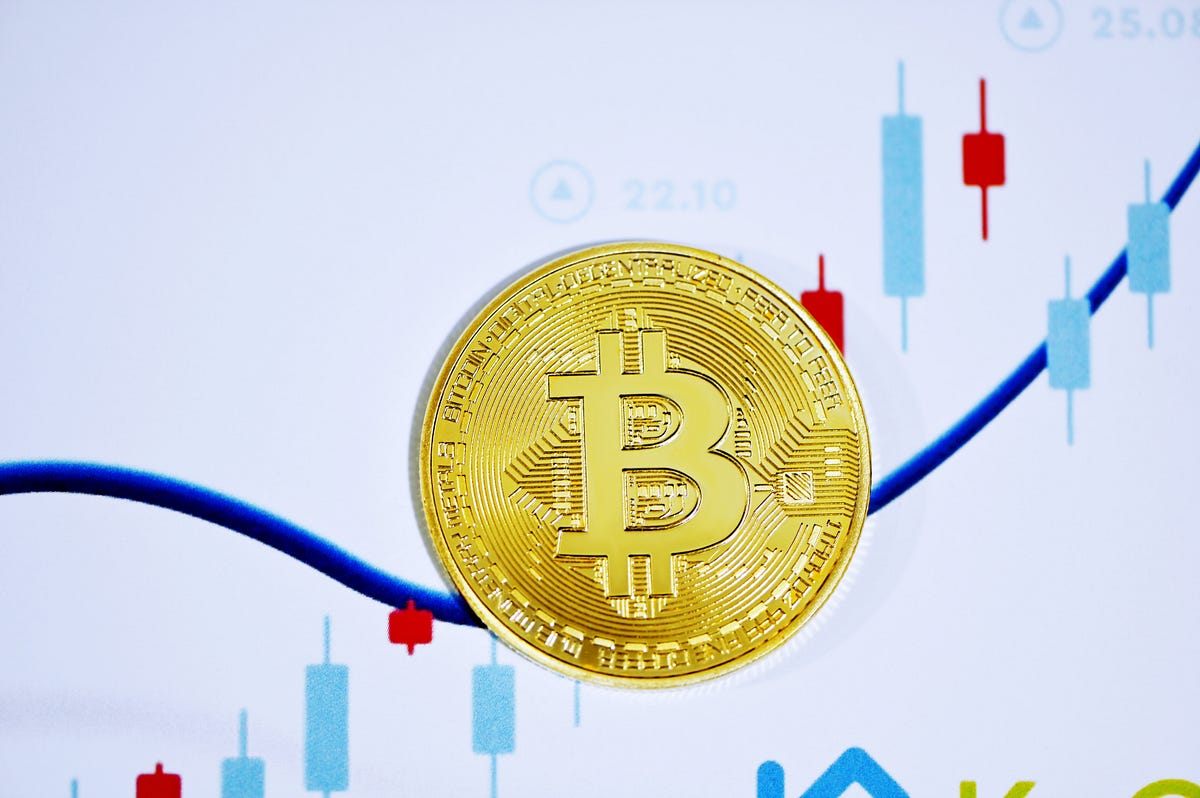 What Would Happen If You Bought $100 of Bitcoin Every Month For a Year? |  by Nick Nolan | Medium