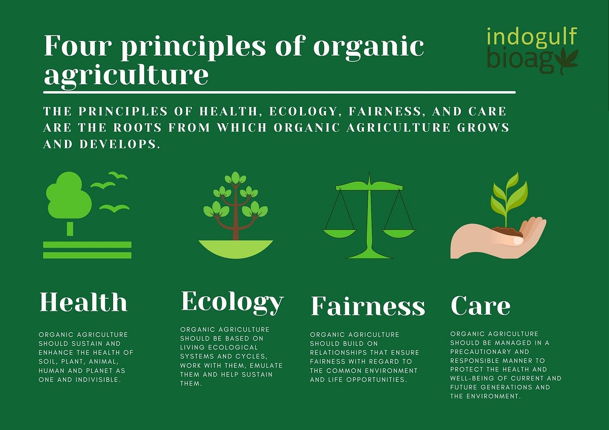 4 Principles Of Organic Agriculture That We Need To Apply Indogulf 4-principles-of-organic-agriculture-that-we-need-to-apply-indogulf