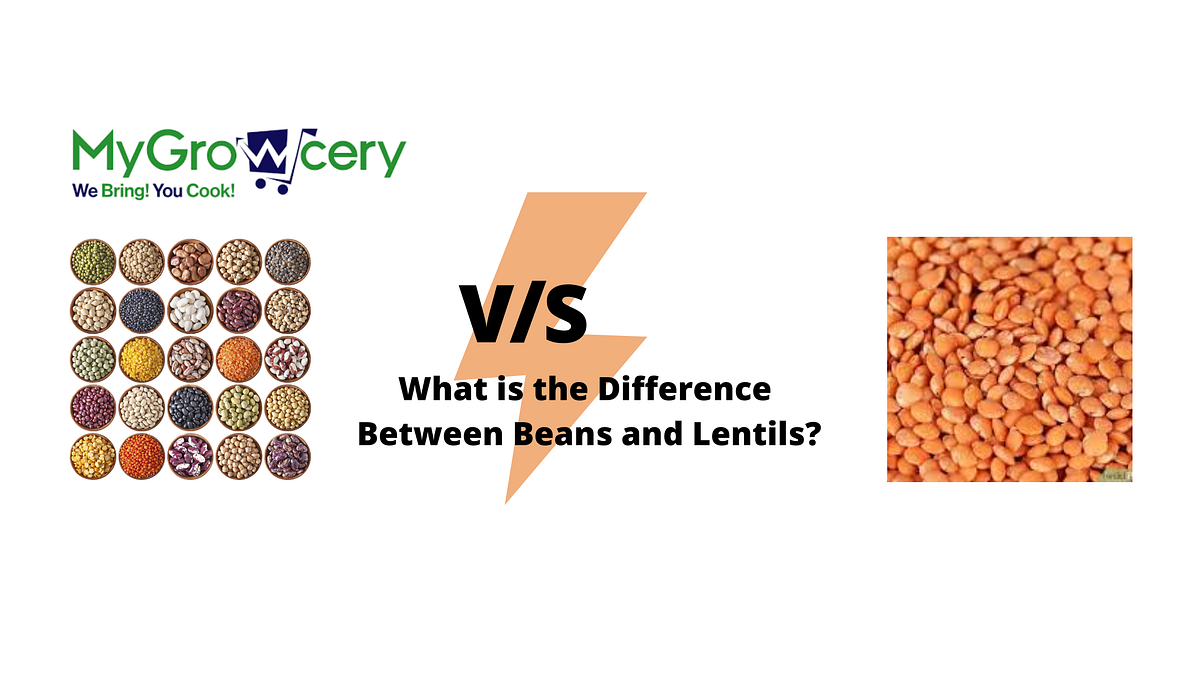 What is the Difference Between Beans and Lentils? by