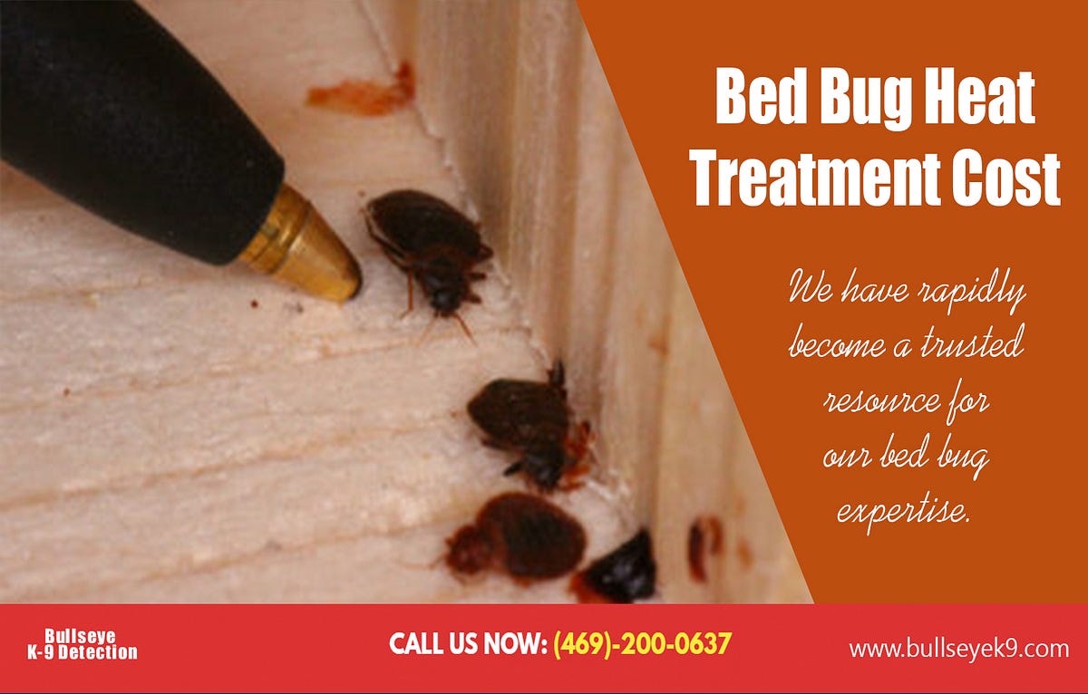 Bed bug exterminator service dallas by bed bug treatment Medium