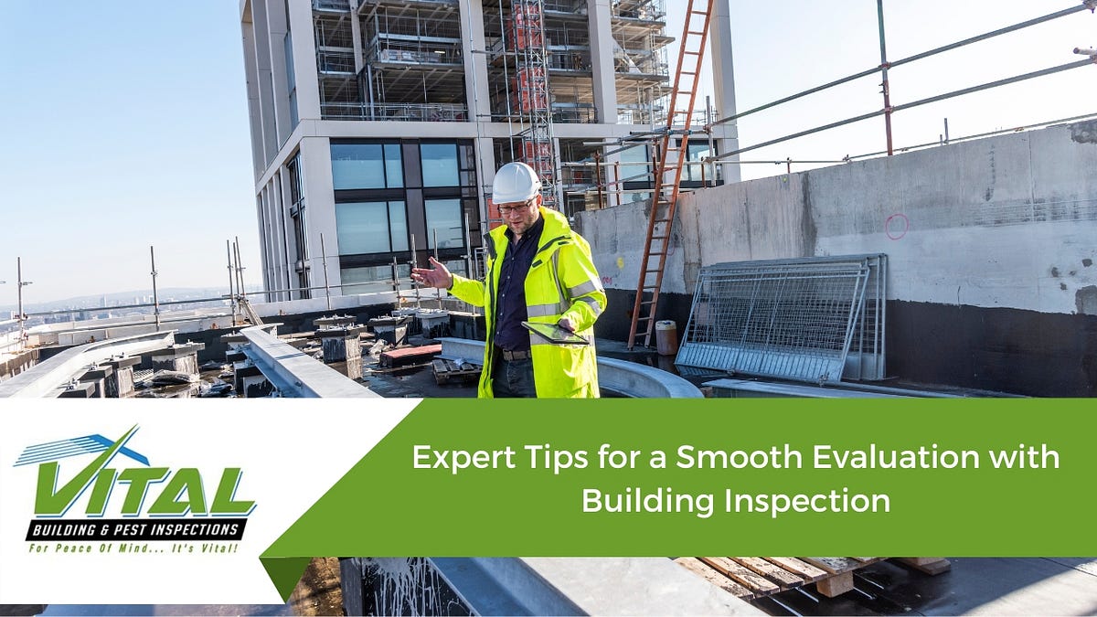 Expert Tips For A Smooth Evaluation With Building Inspection By Vital Building And Pest 9951