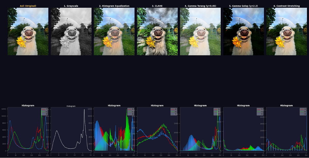Implementasi Teknik Manipulasi Histogram untuk Peningkatan Kualitas ...