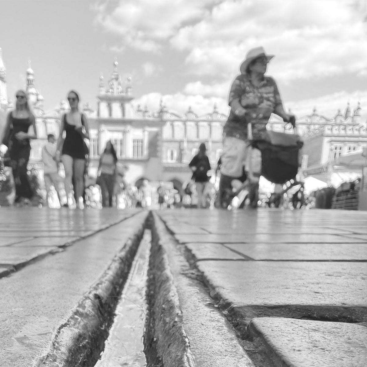 The Ant’s Sidewalk Theory: How Scale Changes Everything You Photograph ...