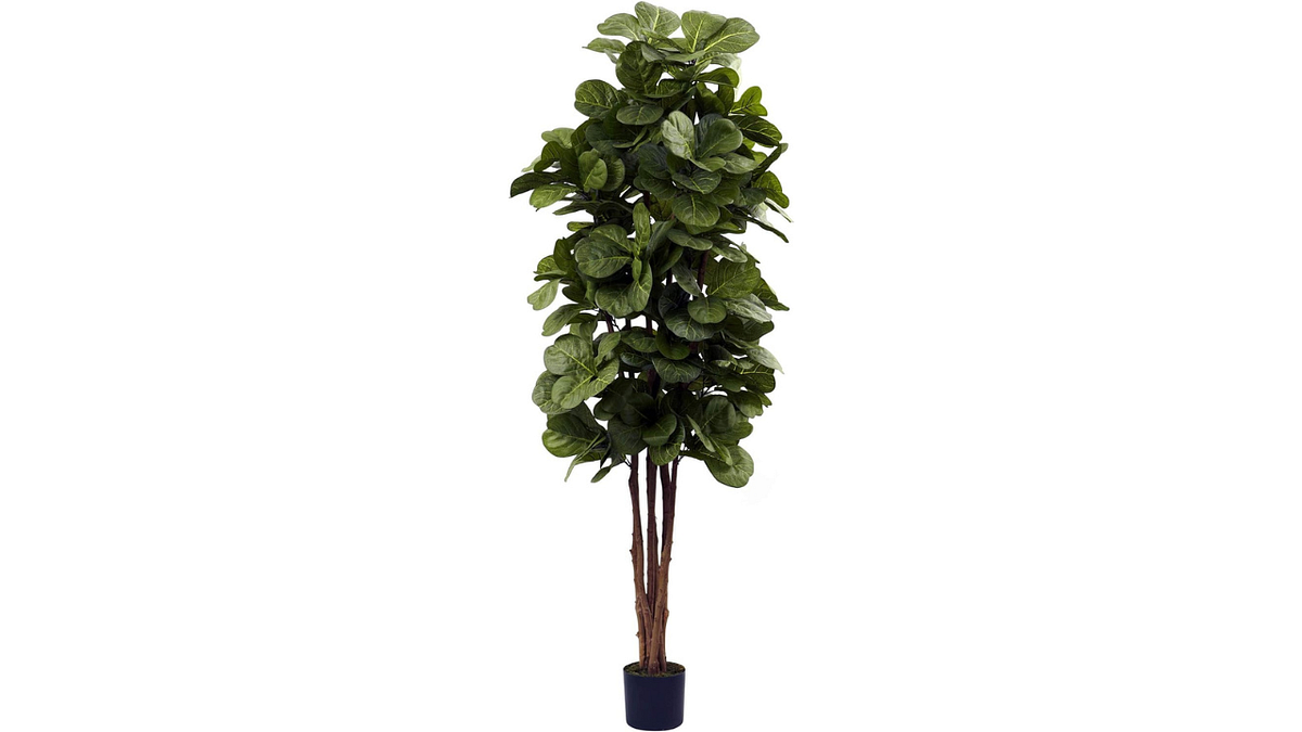 Best Fake Fig Tree — Buyer’s Guide by Artificial Decor Mar, 2024