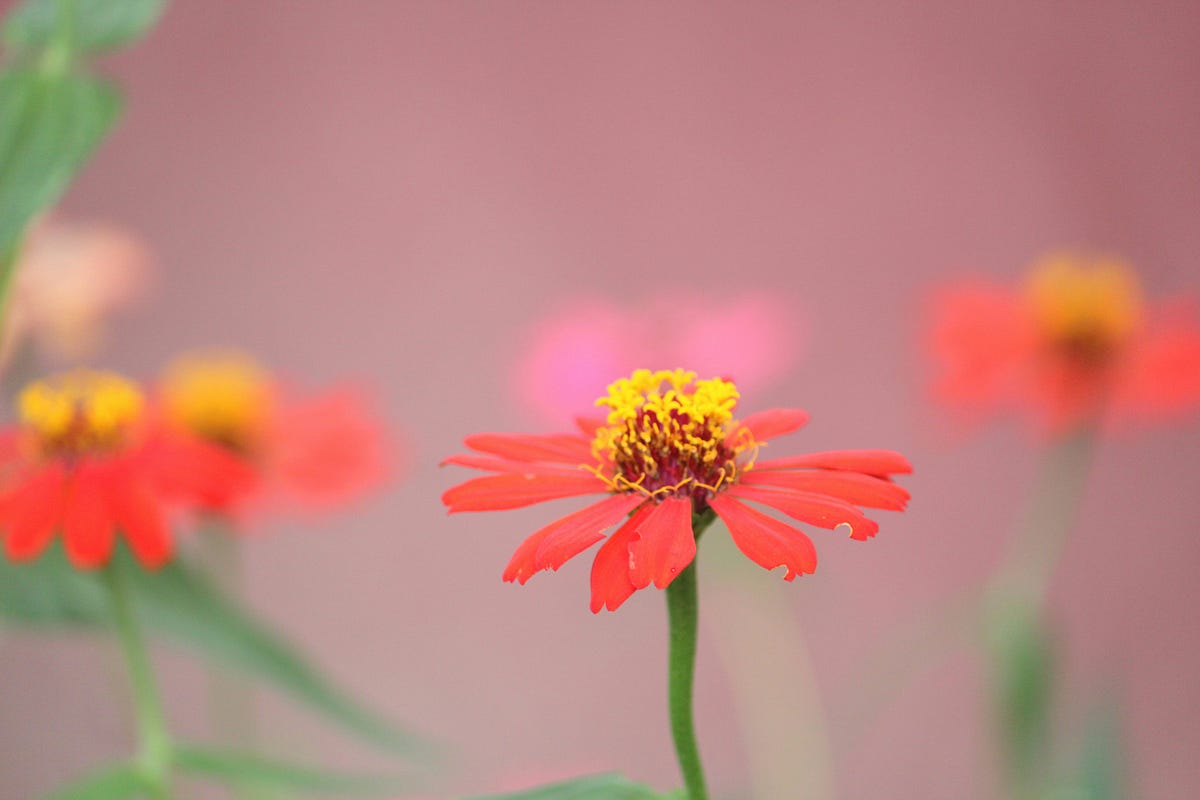 When I Began Embracing my Sensitivity | by Cali | Medium