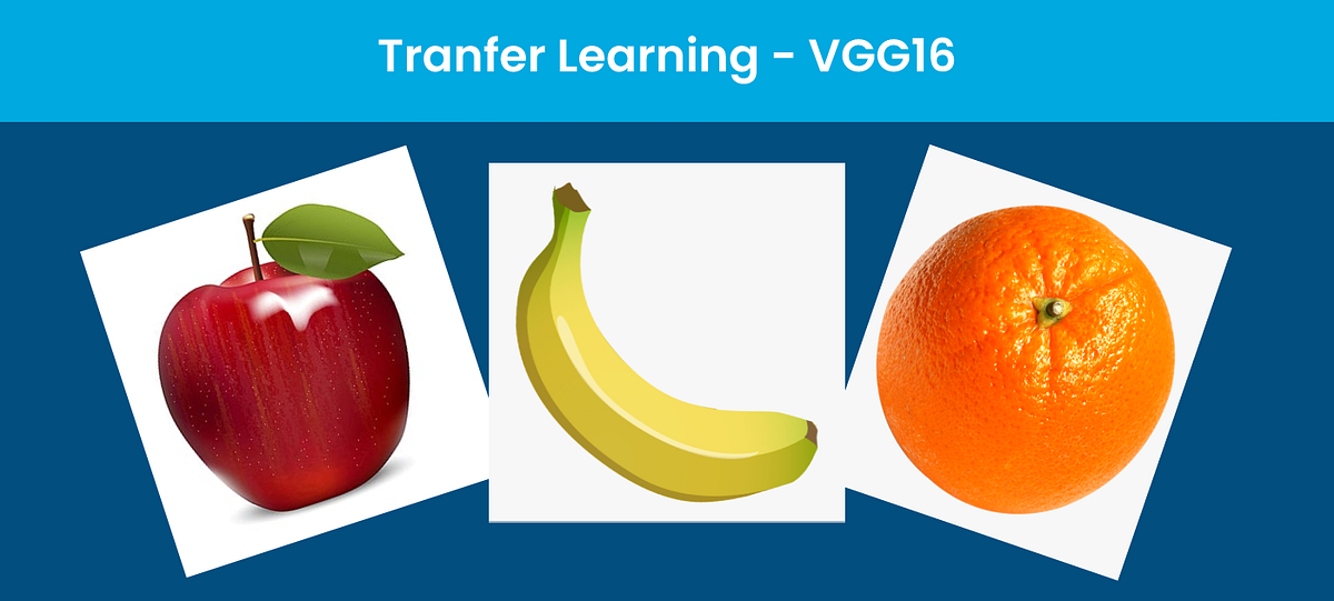 Image classification and prediction using transfer learning | by ...