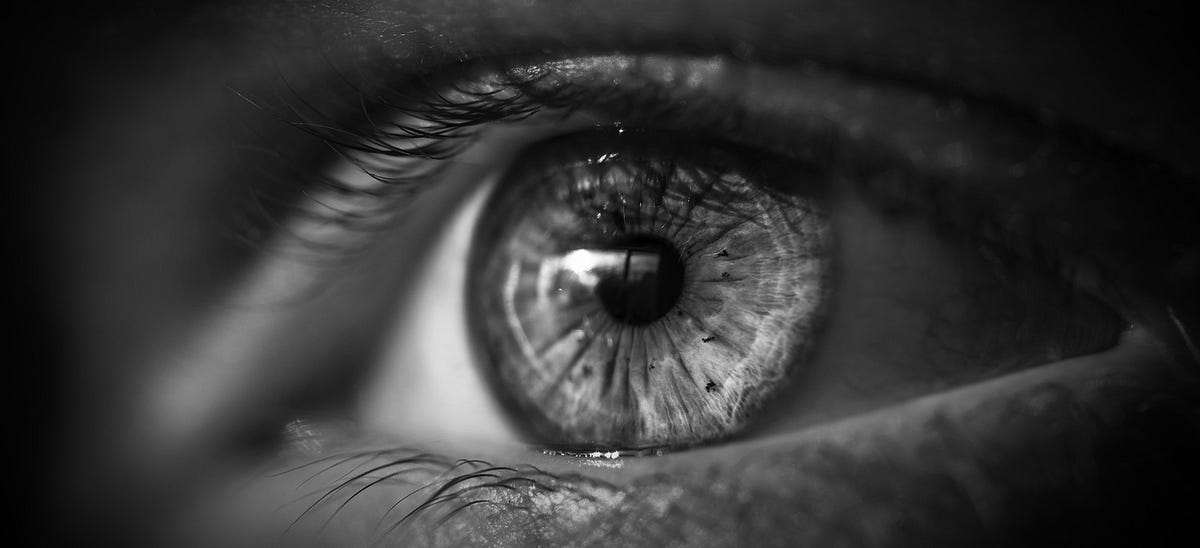 virtual-reality-do-we-live-in-our-brain-s-simulation-of-the-world