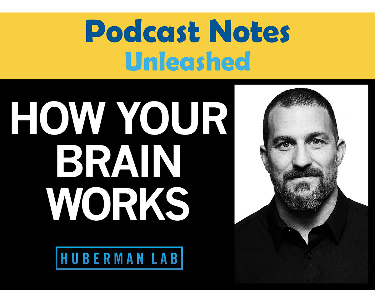How your nervous system works and changes Huberman Lab Podcast 1