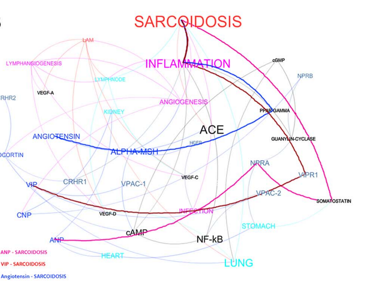 Automated Text Extraction from Medical Documents with Natural Language ...