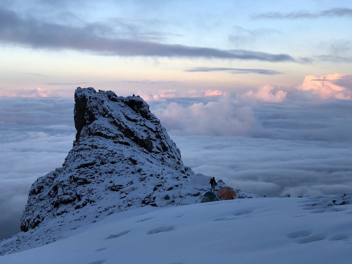 Summiting Mt. Kilimanjaro with Art Basel & David Caruso (that CSI Miami  Guy) | by Dan | Medium