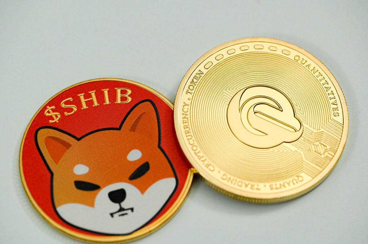 Shiba Inu — The journey from Meme Coin to Value Coin | by Uday Singh |  Medium