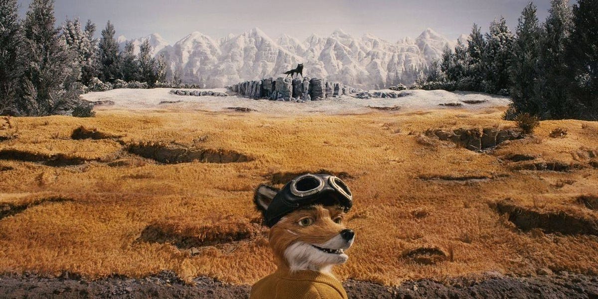 Mr. Fox Looking at the Viewer