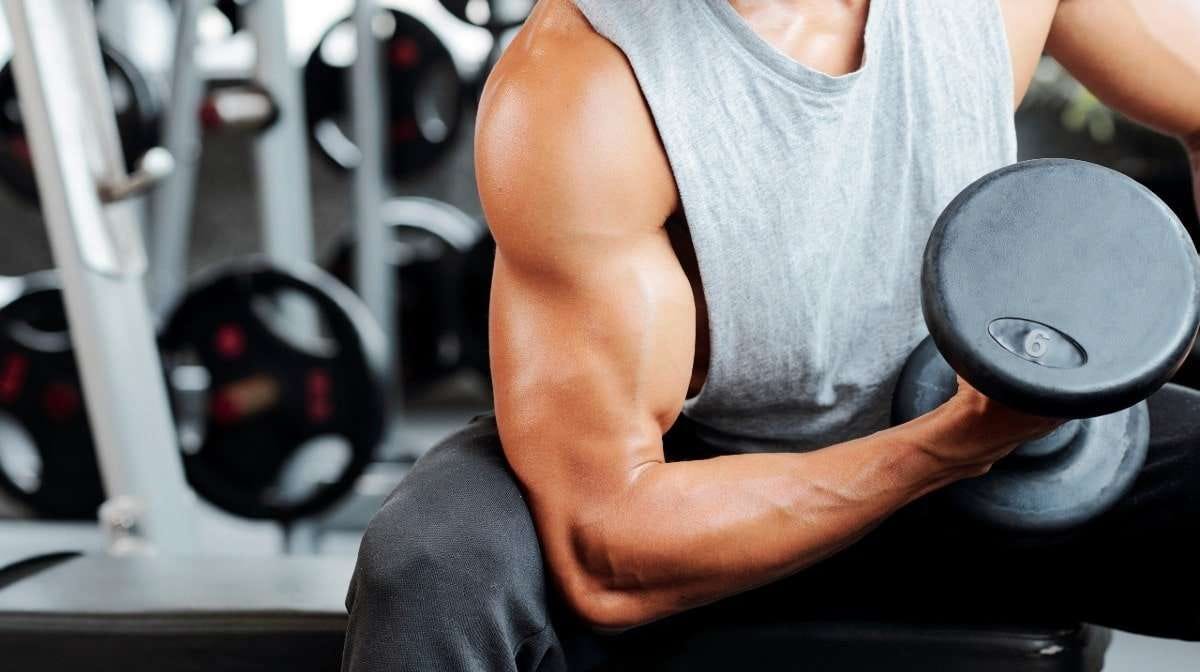 25 Effective Biceps Workouts for Building Muscle, by Rawal khan, Feb,  2024